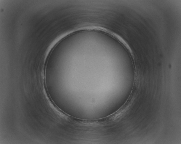 X0000081580951200701150957