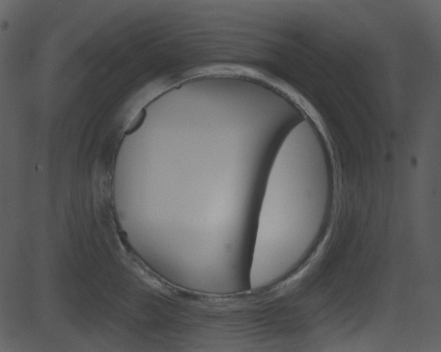 X0000081580953200701150957