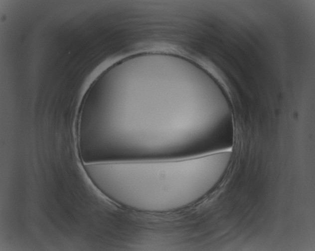 X0000081580959200701150957