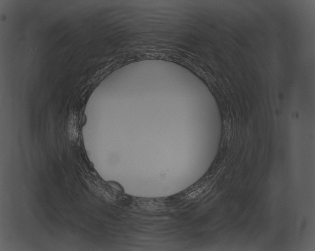 X0000081580962200701150956