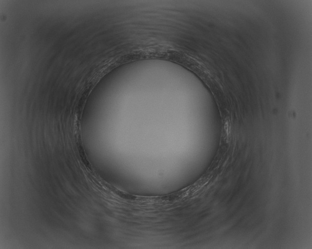 X0000081580963200701150956