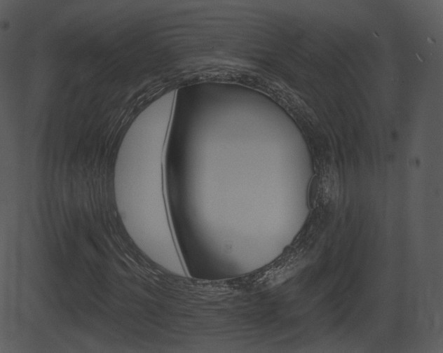 X0000081580964200701150956