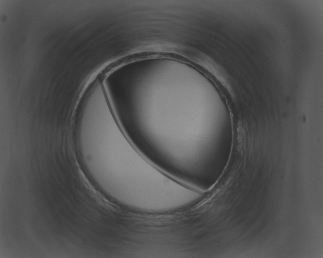 X0000081580972200701150956