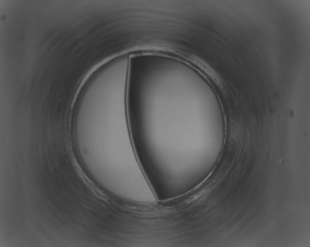 X0000081580980200701150956