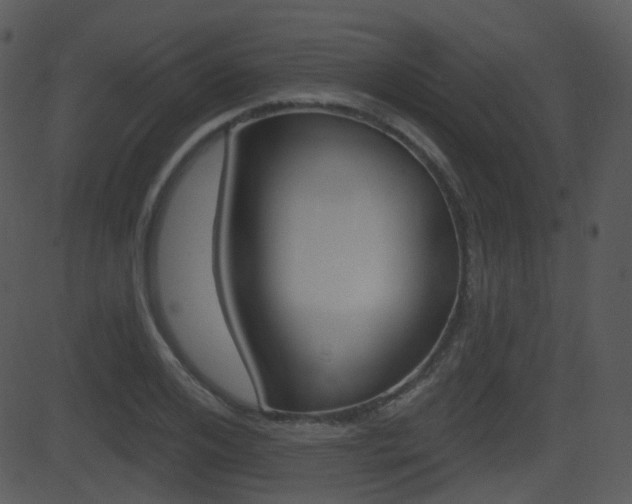 X0000081580984200701150956