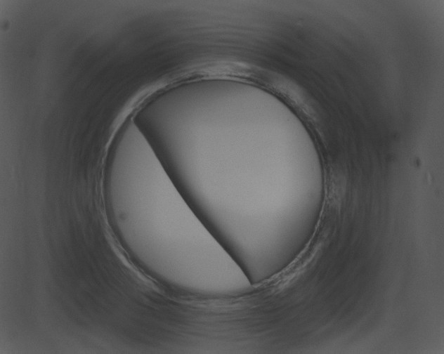 X0000081580986200701150956