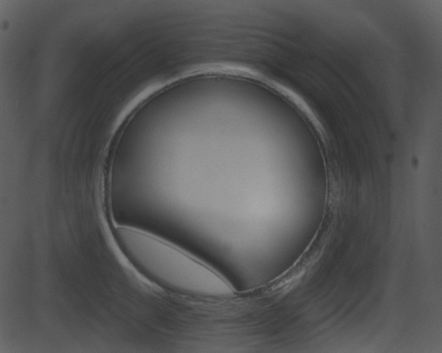 X0000081580999200701150956