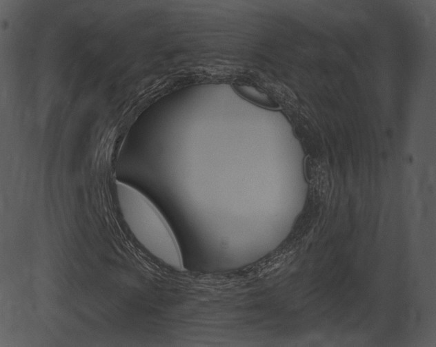 X0000081581009200701150955