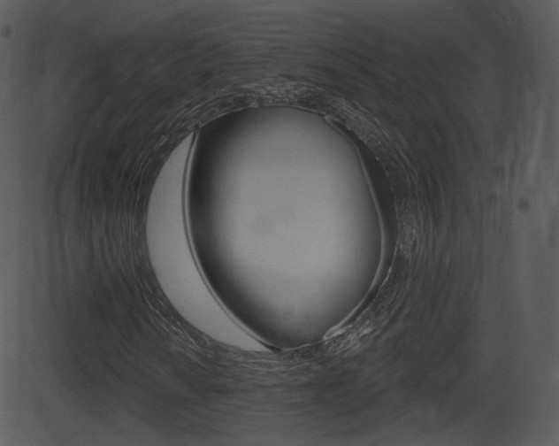 X0000081581010200701150955