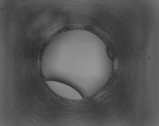X0000081581011200701150955