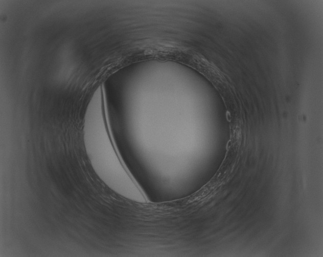 X0000081581012200701150955