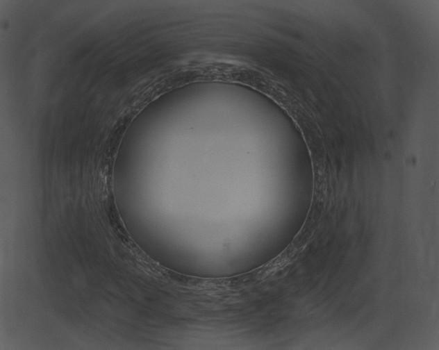 X0000081581013200701150955