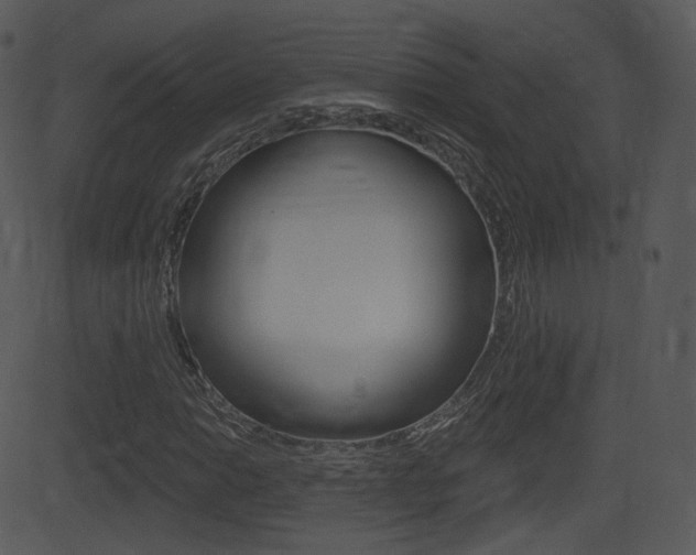 X0000081581014200701150955