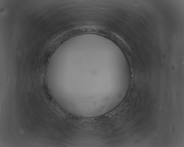 X0000081581015200701150955