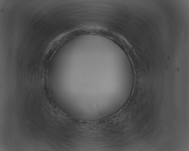 X0000081581016200701150955