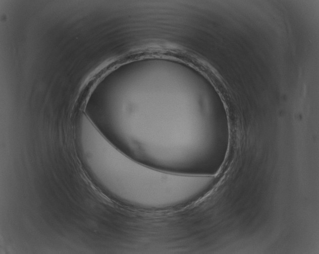 X0000081581018200701150955