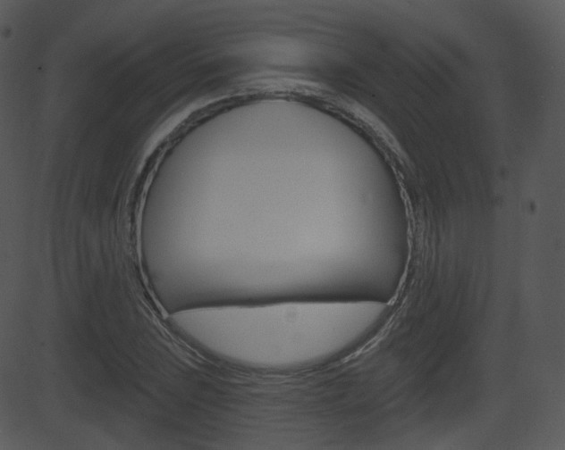 X0000081581023200701150955