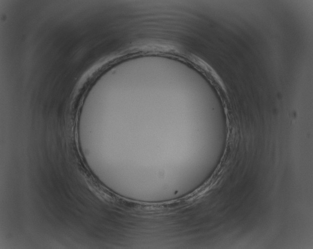 X0000081581027200701150955