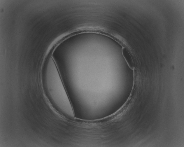X0000081581030200701150955