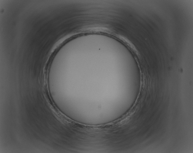 X0000081581031200701150955