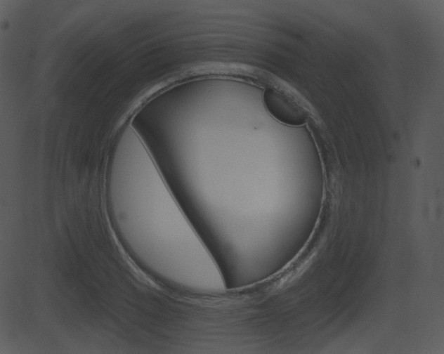 X0000081581033200701150955