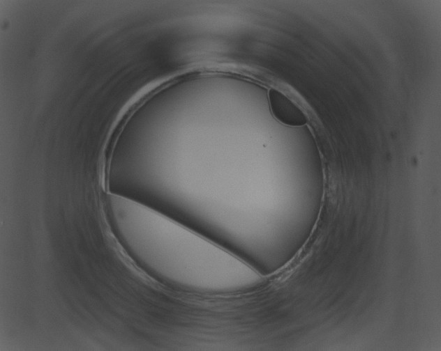 X0000081581036200701150955