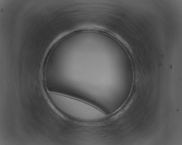 X0000081581037200701150955