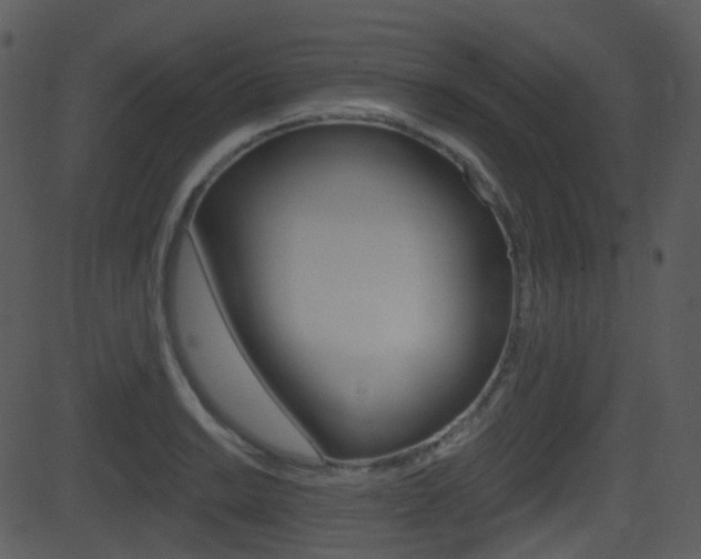 X0000081581038200701150955