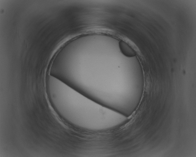 X0000081581039200701150955