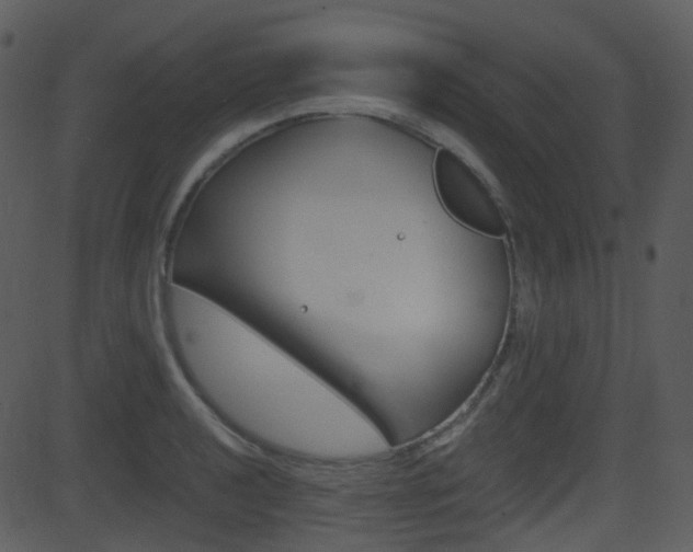 X0000081581040200701150955