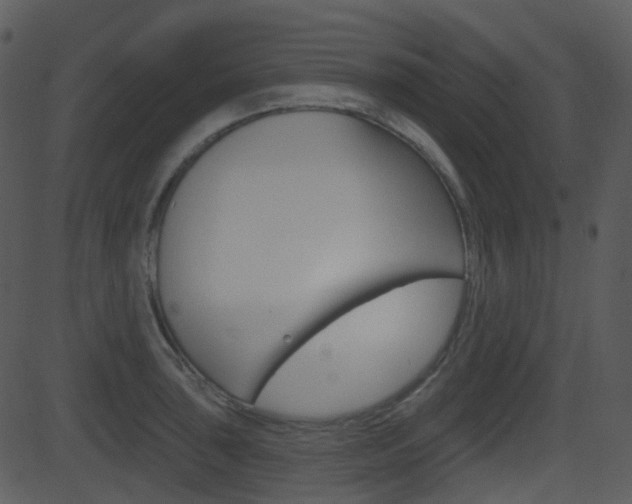 X0000081581043200701150955