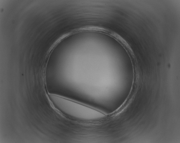 X0000081581049200701150956