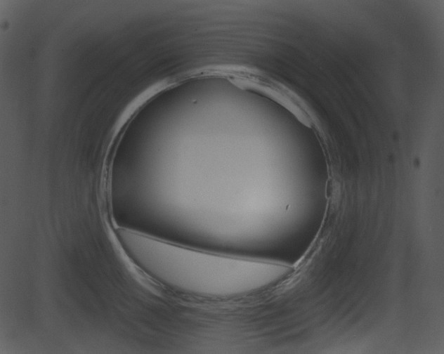 X0000081581050200701150956