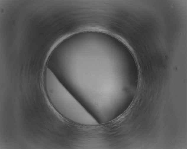 X0000081581056200701150956