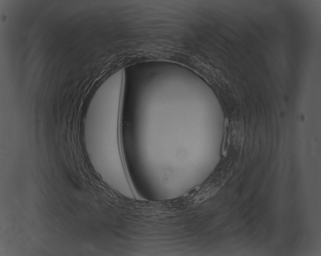 X0000081581057200701150955