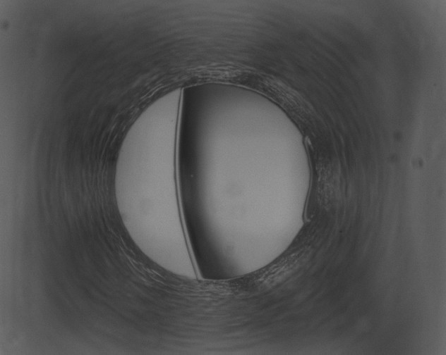 X0000081581058200701150955