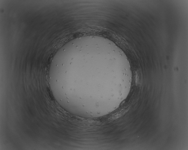 X0000081581059200701150955