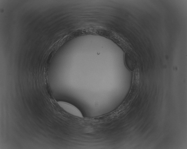X0000081581060200701150955