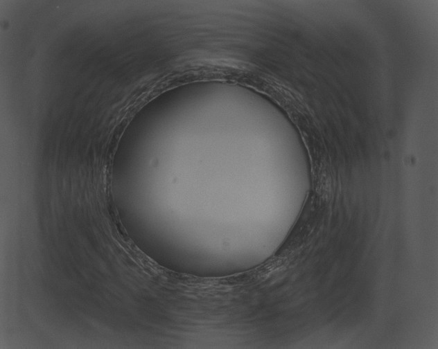 X0000081581061200701150955