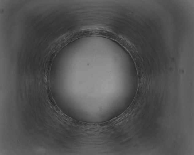 X0000081581062200701150955