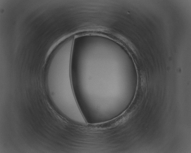 X0000081581069200701150955