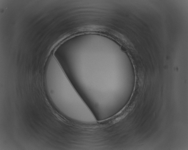 X0000081581073200701150955