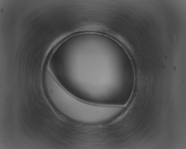 X0000081581077200701150955