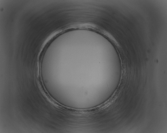 X0000081581079200701150955