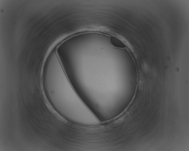 X0000081581080200701150954
