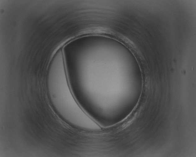 X0000081581081200701150954