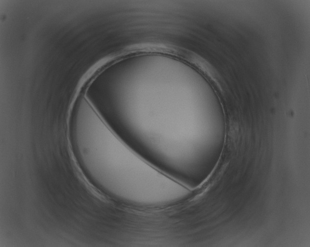 X0000081581082200701150954