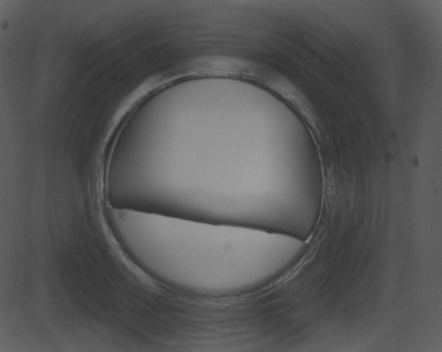 X0000081581083200701150954
