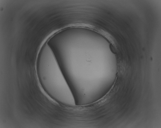 X0000081581084200701150954