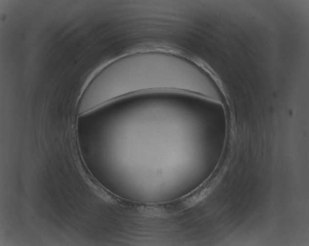 X0000081581089200701150954